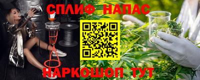 МДПВ Сланцы